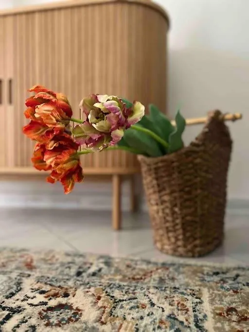 Scio Guesthouse-Centro Storico Naples